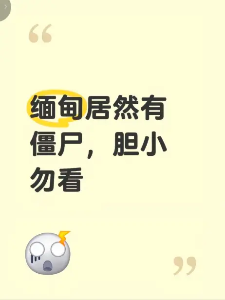 缅甸僵尸出土事件真相揭秘-高清无删减完整版在线免费观看-缅北神秘事件全程录像