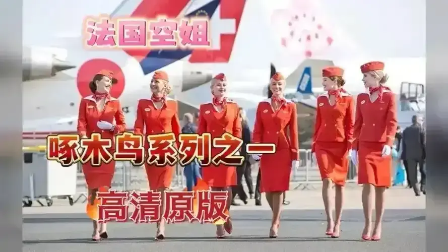 《法国空姐2019/不雅空乘》未删减版HD高清在线看-《法国空姐》电影全集免费无广告播放-1080P画质国语中字完整资源