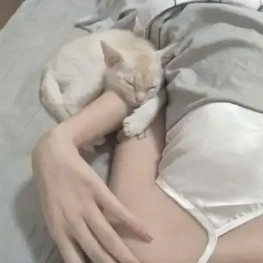 《森泽佳奈》高清全集未删减中文版在线观看 - 森泽佳奈1080P蓝光无水印资源 - 无广告免费观看网盘下载